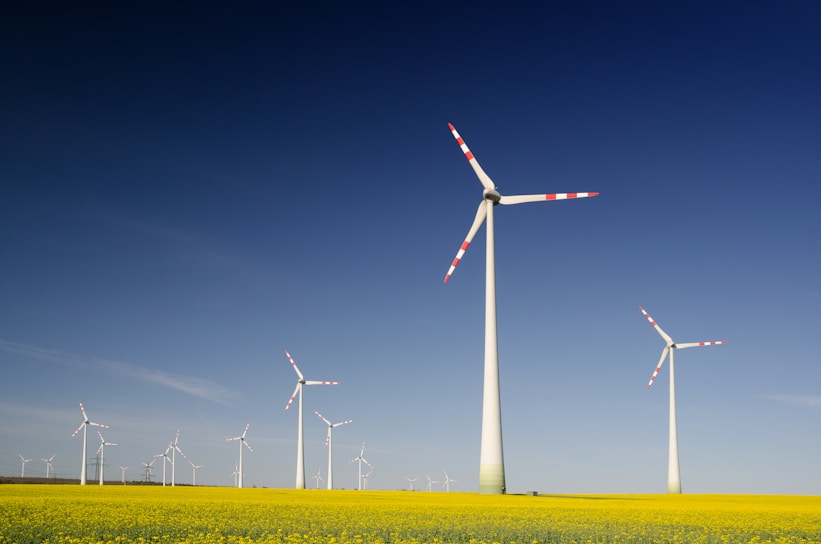 The great power plant sell-off
